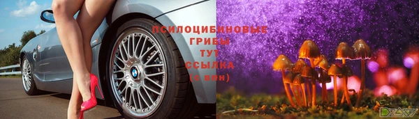круглые Беломорск