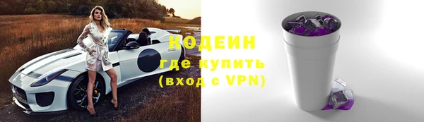 молекула духа Богородицк