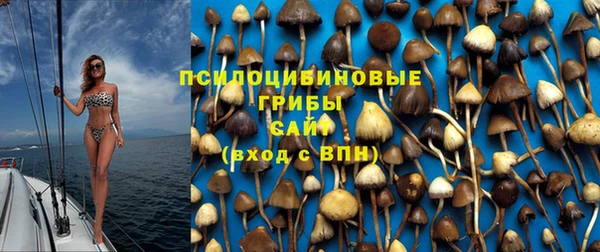 бошки Белокуриха